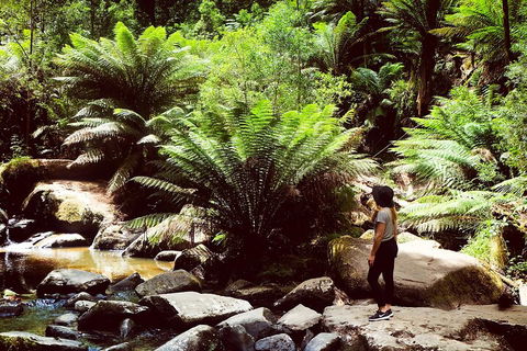 Small Group - Yarra Valley & Dandenong Ranges Hike From Melbourne - Sydneys Hotel 4