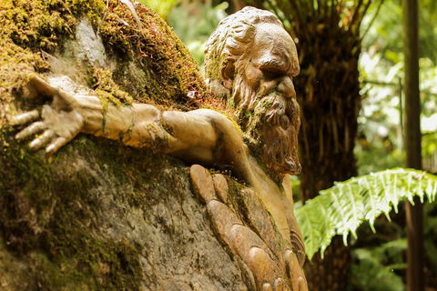 Dandenong Ranges Private Tour Including William Ricketts Sanctuary - Sydneys Hotel 3