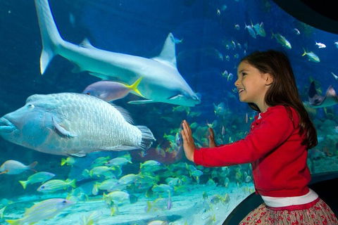 Melbourne BIG Ticket - LEGOLAND Discovery And SEA LIFE Melbourne - Sydneys Hotel 1