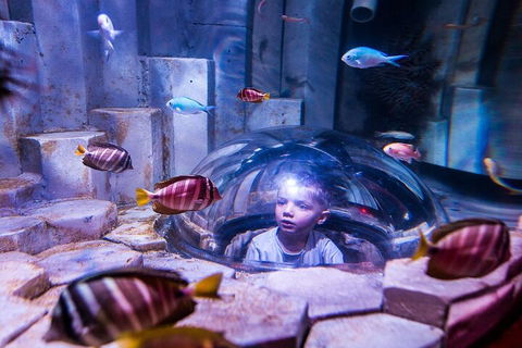 Melbourne BIG Ticket - LEGOLAND Discovery And SEA LIFE Melbourne - Sydneys Hotel 5