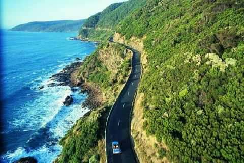 Melbourne Super Saver: Great Ocean Road + Mornington Peninsula + Attraction Pass - Sydneys Hotel 0