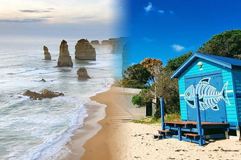 Melbourne Super Saver: Great Ocean Road + Mornington Peninsula + Attraction Pass - Sydneys Hotel 2