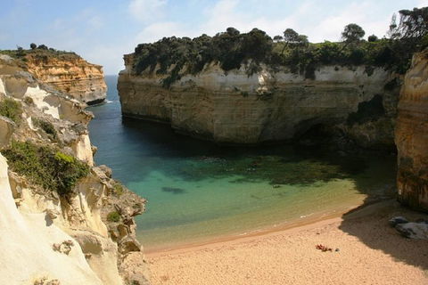Melbourne Super Saver: Great Ocean Road + Mornington Peninsula + Attraction Pass - Sydneys Hotel 3