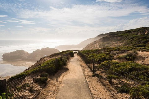 Melbourne Super Saver: Great Ocean Road + Mornington Peninsula + Attraction Pass - Sydneys Hotel 4
