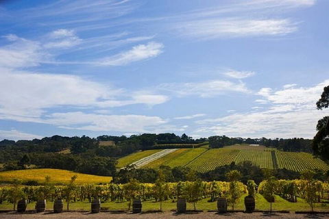 Melbourne Super Saver: Great Ocean Road + Mornington Peninsula + Attraction Pass - Sydneys Hotel 5