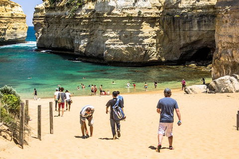 Small-Group Great Ocean Road Classic Day Tour From Melbourne - Sydneys Hotel 5