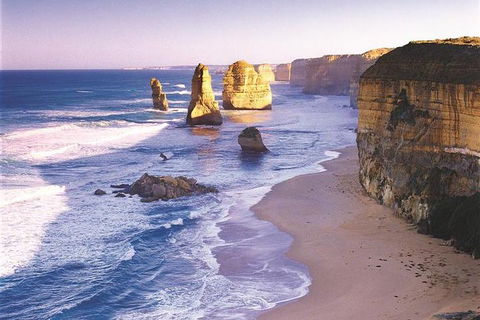 Melbourne Combo: Great Ocean Road, Puffing Billy, Moonlit Sanctuary & Penguins - Sydneys Hotel 0