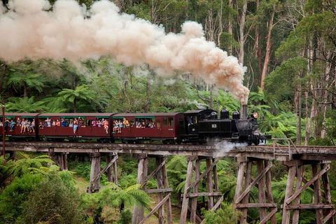 Melbourne Combo: Great Ocean Road, Puffing Billy, Moonlit Sanctuary & Penguins - Sydneys Hotel 1
