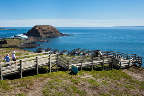 Melbourne Combo: Great Ocean Road, Puffing Billy, Moonlit Sanctuary & Penguins - Sydneys Hotel 5