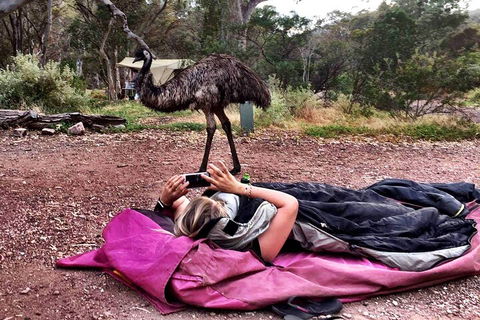 6 Day Esperance & Margaret River Adventure Tour - Sydneys Hotel 5