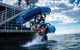 Outer Reef Pontoon Experience From Cairns - thumb 3
