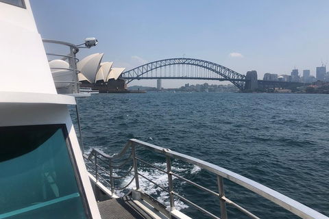 Sydney Harbour Discovery Cruise Including Lunch - Sydneys Hotel 3