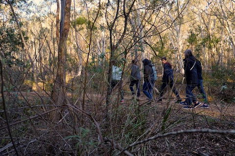 Wild Australian Wildlife 4WD Tour From Sydney - Sydneys Hotel 0