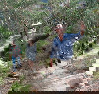 Small-Group Blue Mountains Tour with Bush Walks and Featherdale Wildlife Park - Sydneys Hotel