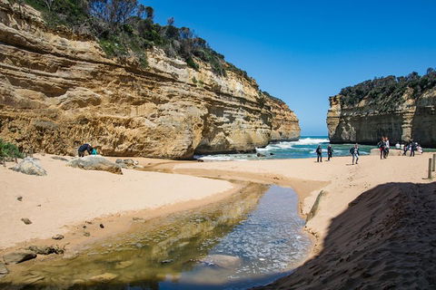 Great Ocean Road Reverse Itinerary With 12 Apostles From Melbourne - Sydneys Hotel 2