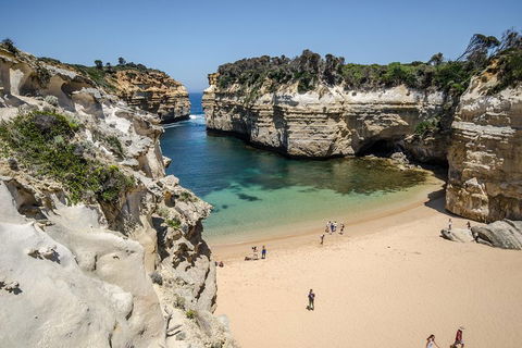 Great Ocean Road Reverse Itinerary With 12 Apostles From Melbourne - Sydneys Hotel 5