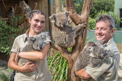 Sydney Wine Tour â€“ Wine, Waves & Wildlife In South Coast - Sydneys Hotel 2