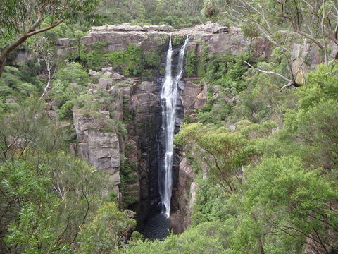 Sydney Wine Tour â€“ Wine, Waves & Wildlife In South Coast - Sydneys Hotel 3