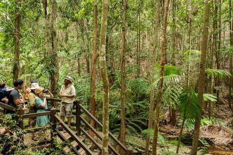 Fraser Explorer K'gari 2-Day Tour - Sydneys Hotel 5