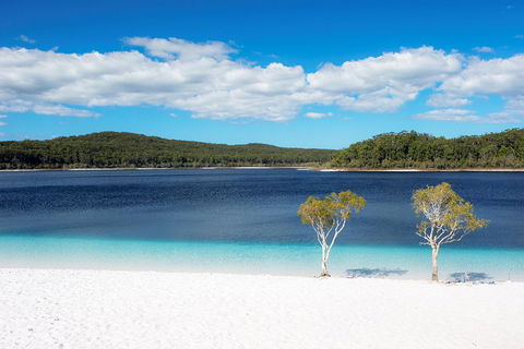 All-Inclusive Fraser Island Day Tour - Sydneys Hotel 3
