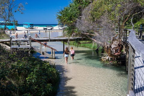 All-Inclusive Fraser Island Day Tour - Sydneys Hotel 4