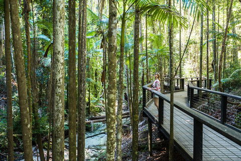 All-Inclusive Fraser Island Day Tour - Sydneys Hotel 5