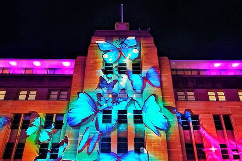 Vivid 90-Minute Sydney Harbour Small Group Catamaran Cruise - Sydneys Hotel 0