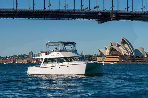 Vivid 90-Minute Sydney Harbour Small Group Catamaran Cruise - Sydneys Hotel 2