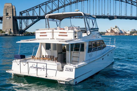 Vivid 90-Minute Sydney Harbour Small Group Catamaran Cruise - Sydneys Hotel 4