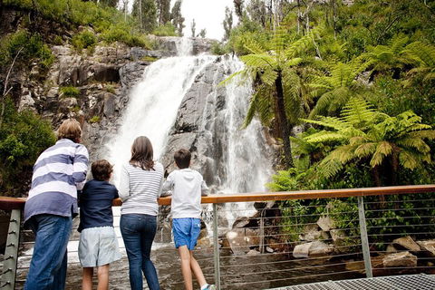 Lake Mountain Snow Trip Including Yarra Valley Chocolaterie From Melbourne - Sydneys Hotel 0