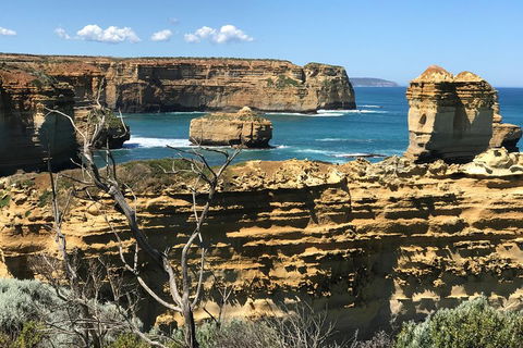 Great Ocean Road Reverse Itinerary Tour - Sydneys Hotel 1