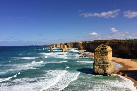 Great Ocean Road Reverse Itinerary Tour - Sydneys Hotel 4