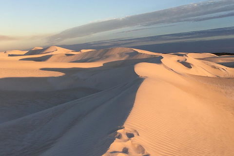 Pinnacles Desert Private Tour - Sydneys Hotel 1