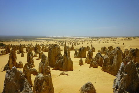 Pinnacles Desert Private Tour - Sydneys Hotel 2