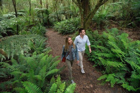 Great Ocean Road Full Coastal Tour - 3 Days, 2 Nights - Sydneys Hotel 4