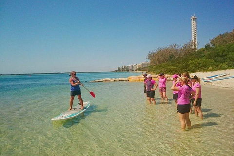 Golden Beach 1-Hour Stand-Up Paddleboard Hire On The Sunshine Coast - Sydneys Hotel 1