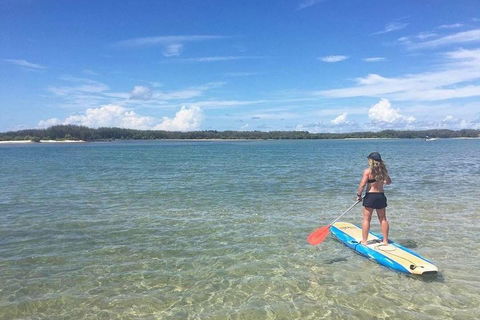 Golden Beach 1-Hour Stand-Up Paddleboard Hire On The Sunshine Coast - Sydneys Hotel 4