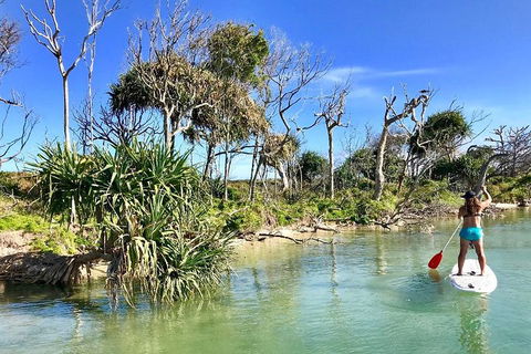 Golden Beach 1-Hour Stand-Up Paddleboard Hire On The Sunshine Coast - Sydneys Hotel 5