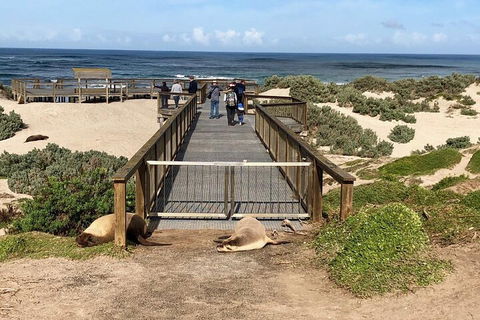 Kangaroo Island 4WD Tour - Best Of KI - Sydneys Hotel 2