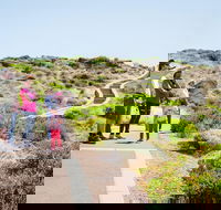 Margaret River Coastal and Wildlife Eco Trip from Busselton or Dunsborough - Sydneys Hotel
